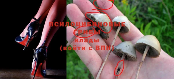 альфа пвп Лагань